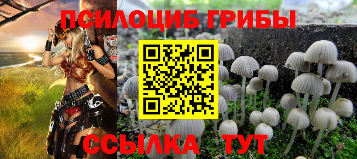Псилоцибиновые грибы мухоморы Кондопога